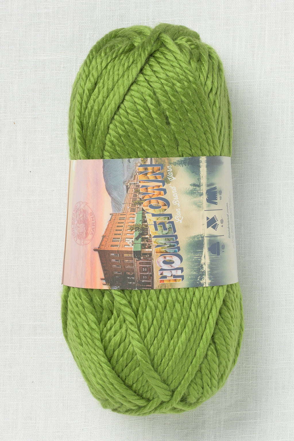 Lion Brand Hometown 172D Oklahoma City Green (142g)