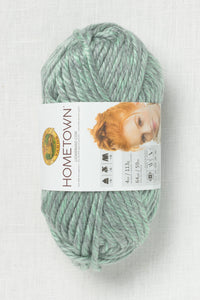 Lion Brand Hometown 226G Fayetteville Frost (113g)