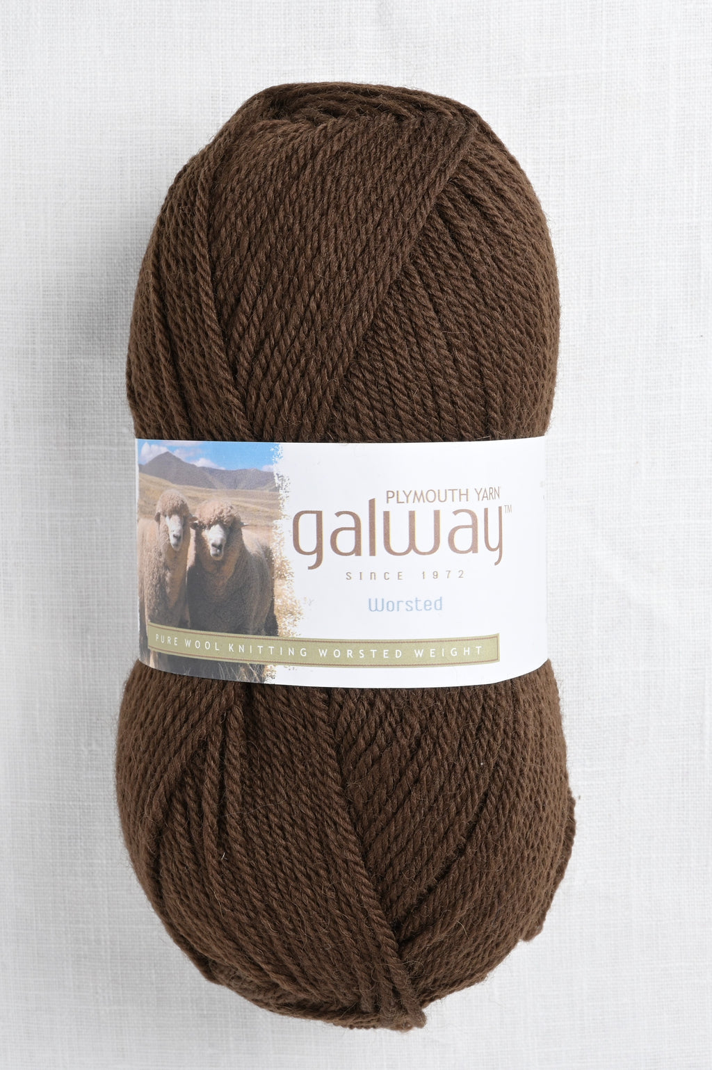 Plymouth Galway Worsted 208 Walnut