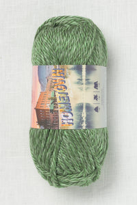 Lion Brand Hometown 241G Everglades (113g)