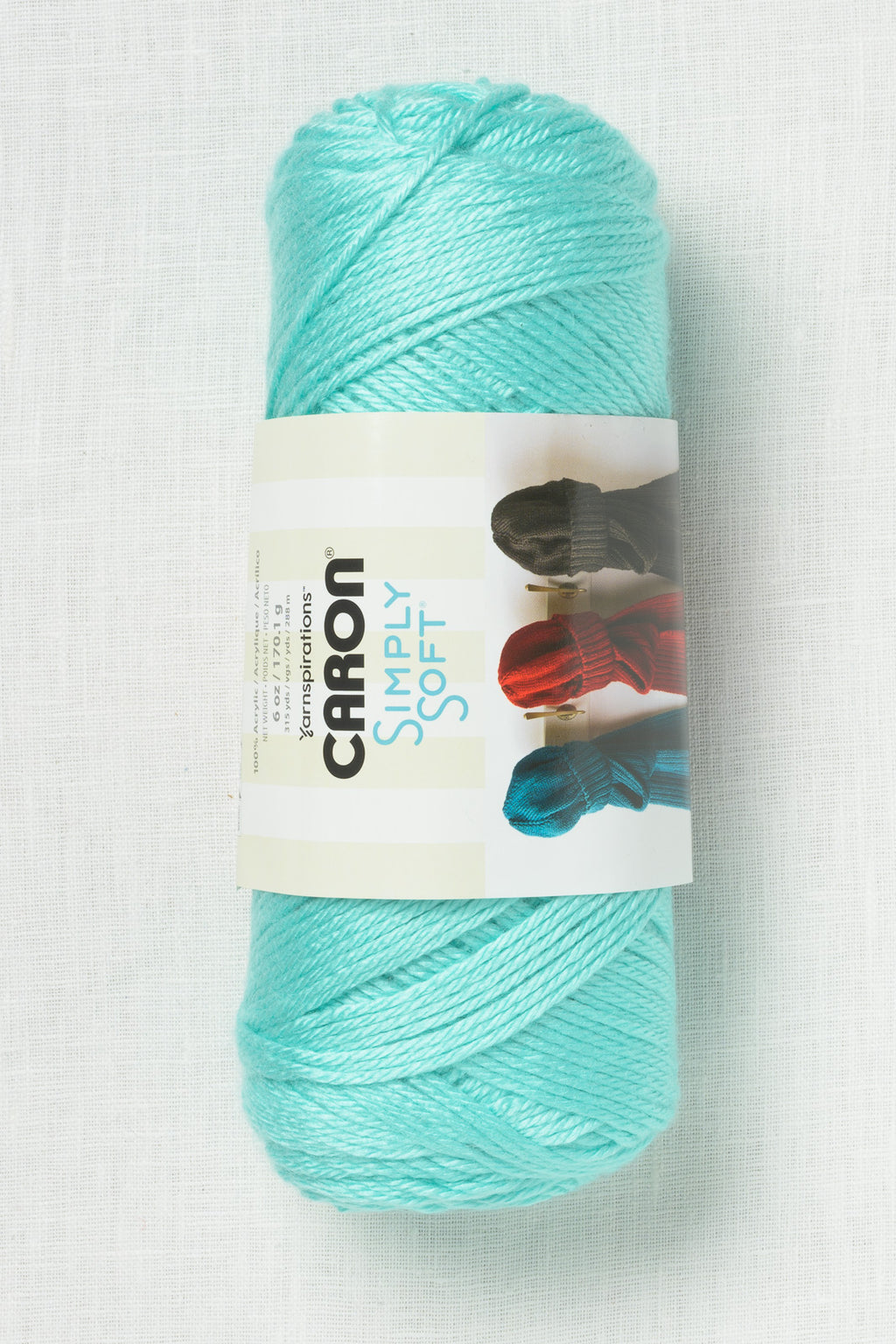 Caron Simply Soft Robin's Egg