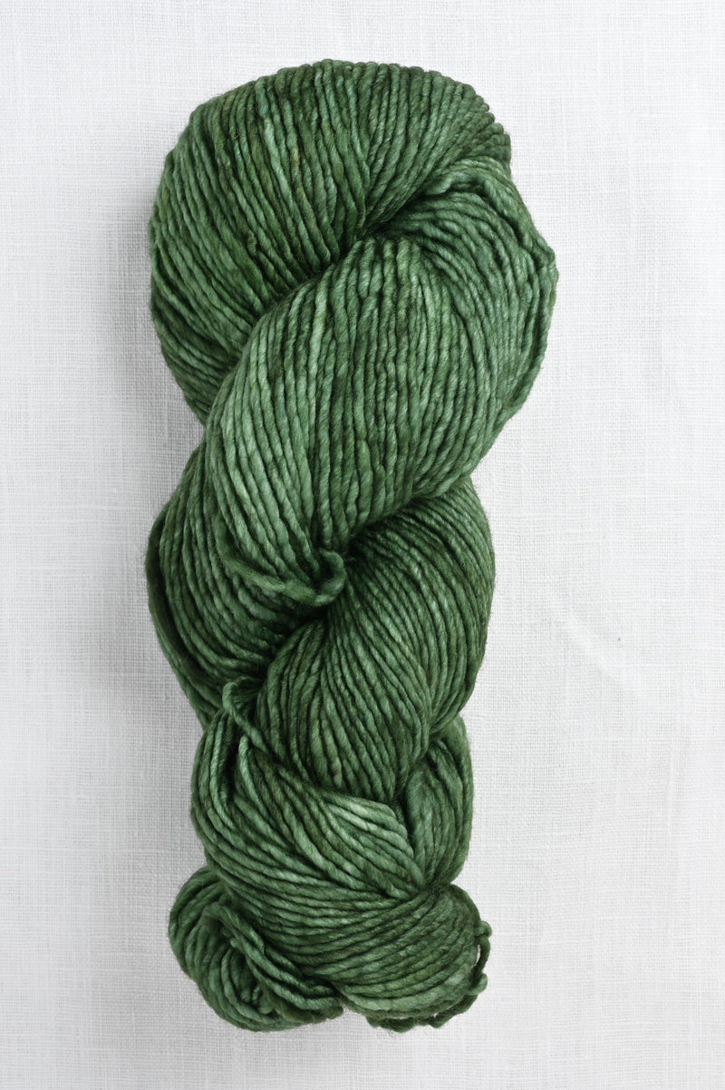 Malabrigo Worsted 117 Verde Adriana