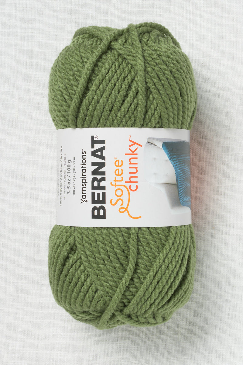 Bernat Softee Chunky 100g Forest