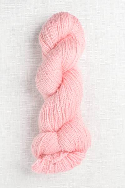 Cascade 220 Superwash Fingering 100 Apricot Blush