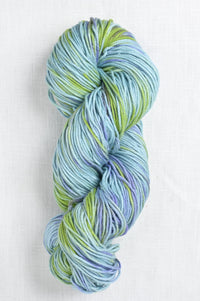 Malabrigo Verano 946 Winsome