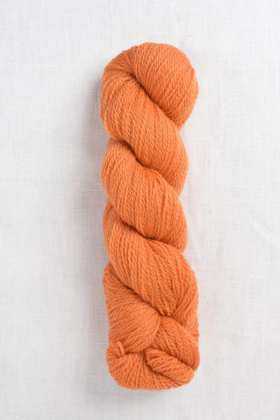 Cascade 220 Fingering 9622 Amber Glow