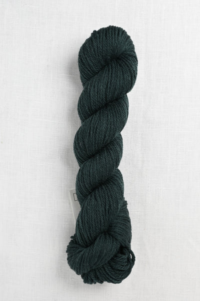 Cascade 220 Superwash Sport 258 Pine Grove