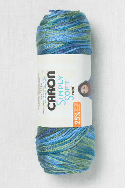 Caron Simply Soft Prints & Ombres Spring Brook